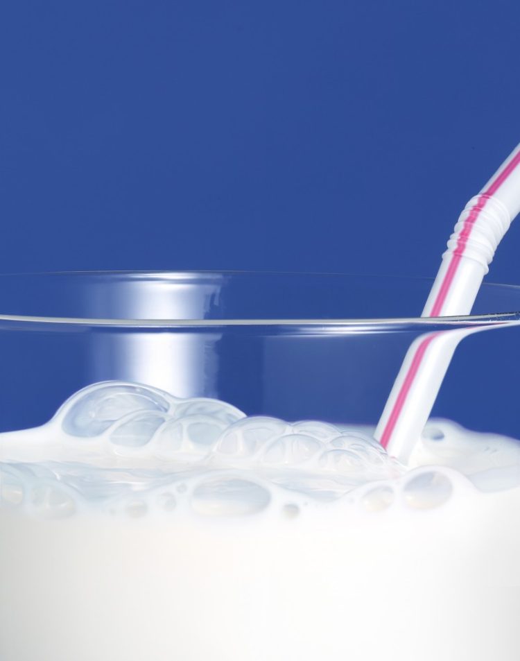 Laitetpaille – M.Stive-CNIEL