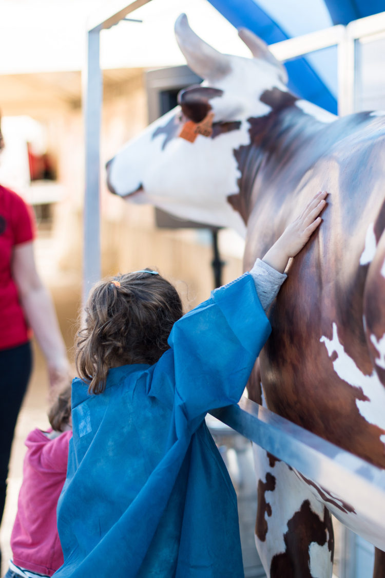 Laiterie des fayes-196