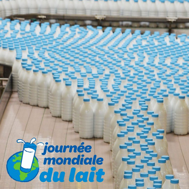 1080×1080 JML2019 3